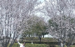 CHINSES中国女人CHINSES